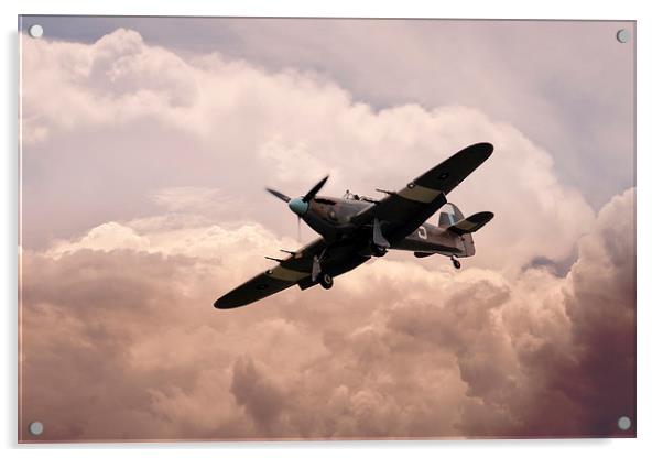 Warbirds - Hawker Hurricane  Acrylic by J Biggadike