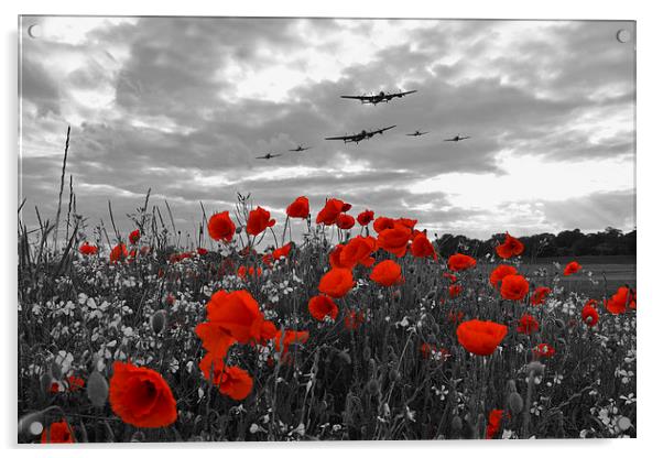 Warbirds Remembrance - Selective  Acrylic by J Biggadike