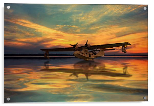 Plane Sailing  Acrylic by J Biggadike