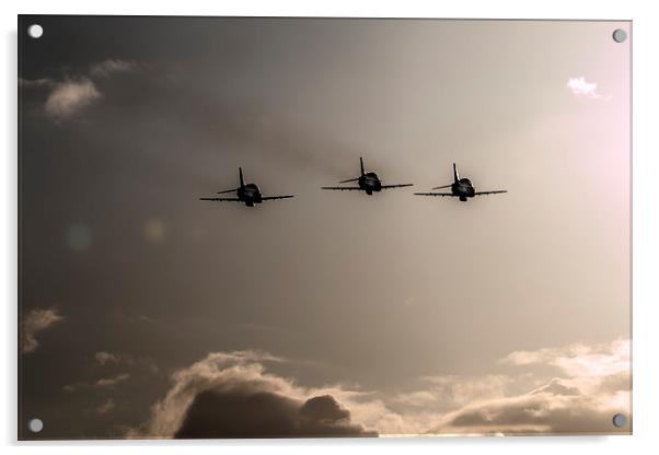 Reds Silhouette  Acrylic by J Biggadike