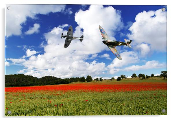 Spitfire Poppy Fly Past  Acrylic by J Biggadike