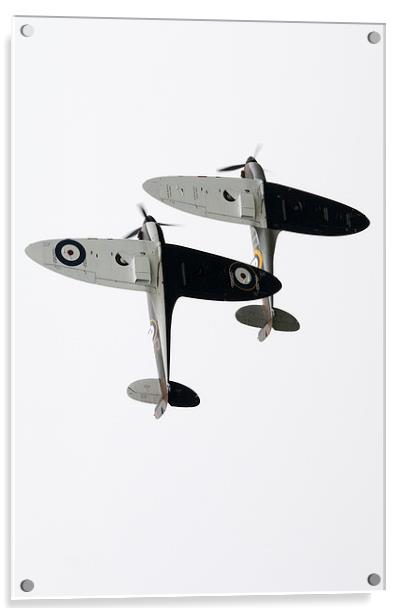 High Key Spitfires Acrylic by J Biggadike