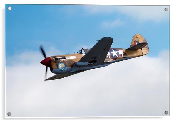  Curtiss P-40F Warhawk Acrylic by J Biggadike