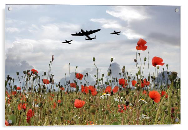 BBMF Over The Poppies Acrylic by J Biggadike