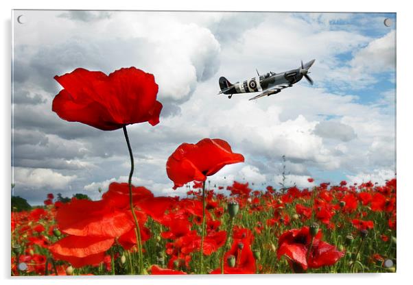 Spitfire Over The Poppy Acrylic by J Biggadike