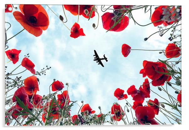 Lancaster Poppy Frame  Acrylic by J Biggadike