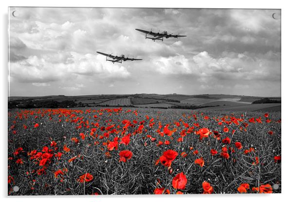 Brothers In Arms - Red Acrylic by J Biggadike