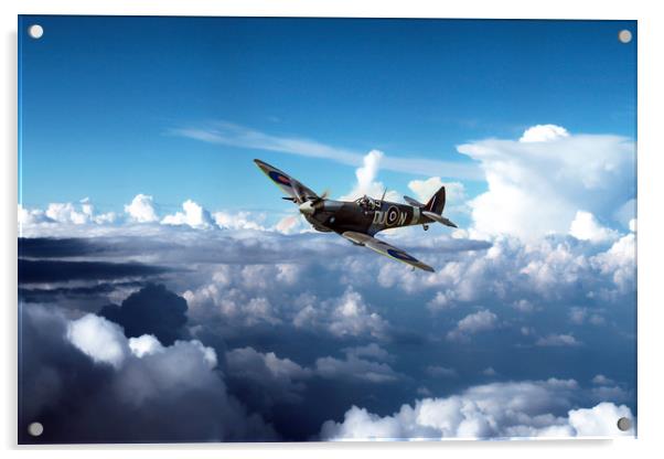Spitfire TE184 Acrylic by J Biggadike