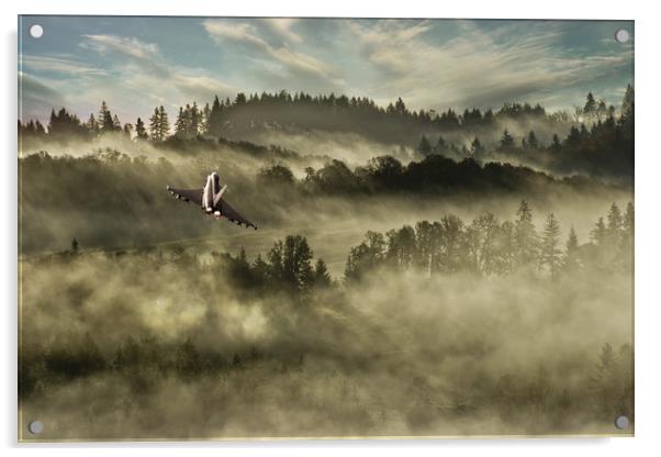 Tiffy In The Mist Acrylic by J Biggadike