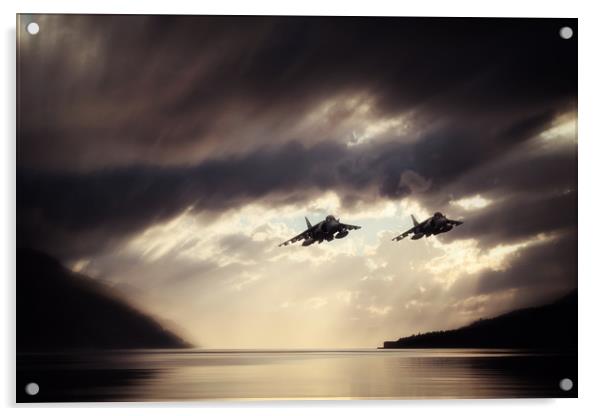 Low Level Harriers Acrylic by J Biggadike