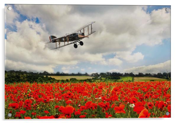 Bristol F2 Fly Past Acrylic by J Biggadike