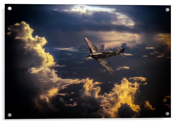 The Graceful Spitfire Acrylic by J Biggadike