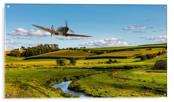 Spitfire Country Acrylic by J Biggadike