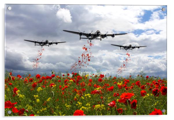 Lancaster Remembrance - Poppy Drop Acrylic by J Biggadike