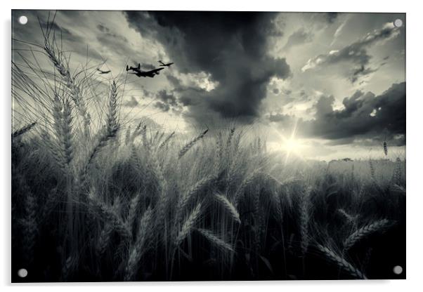 BBMF Harvest Acrylic by J Biggadike