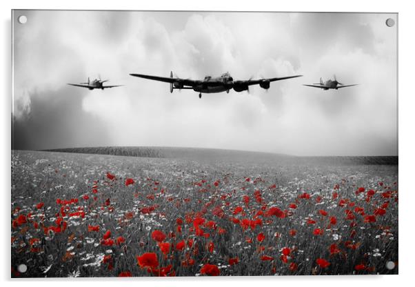Memorial Flight - Red Acrylic by J Biggadike