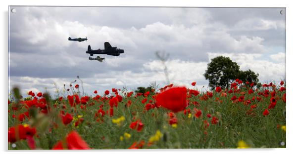 BBMF Over The Poppies Acrylic by J Biggadike