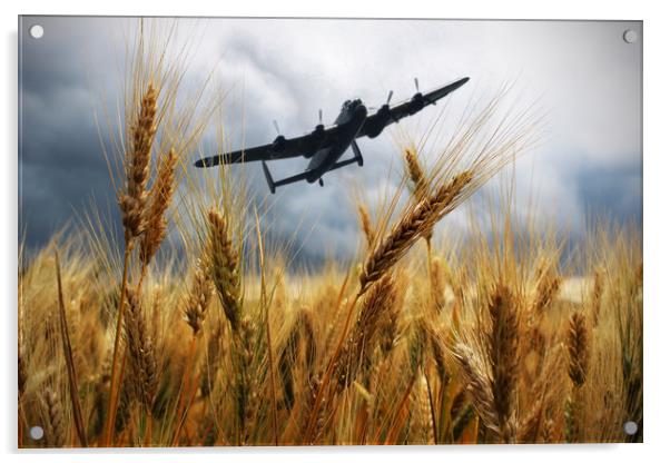 Over The Wheat Fields Acrylic by J Biggadike