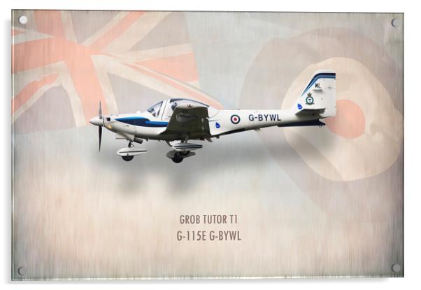Grob Tutor T1 G-115E Acrylic by J Biggadike