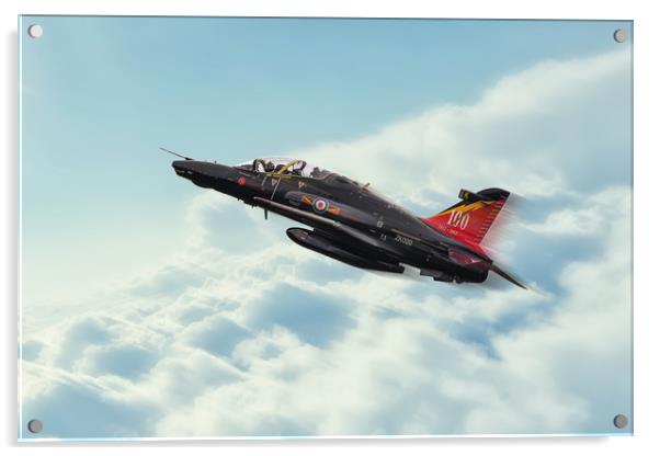 Hawk T2 Centenary Acrylic by J Biggadike
