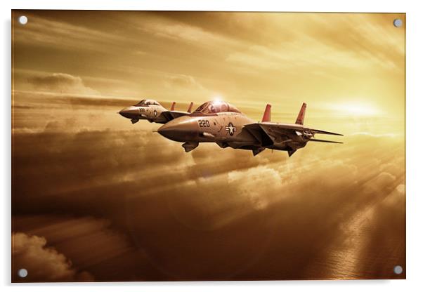 NAWC Tomcats  Acrylic by J Biggadike