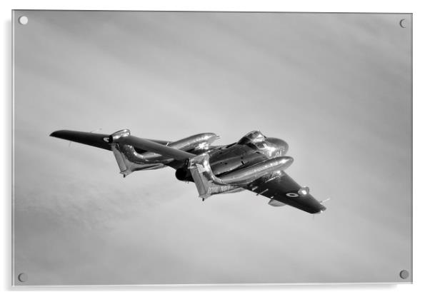 Sea Vixen Acrylic by J Biggadike