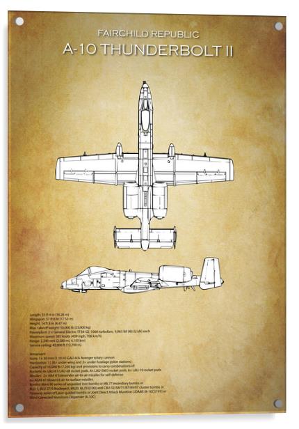 A-10 Thunderbolt II Acrylic by J Biggadike