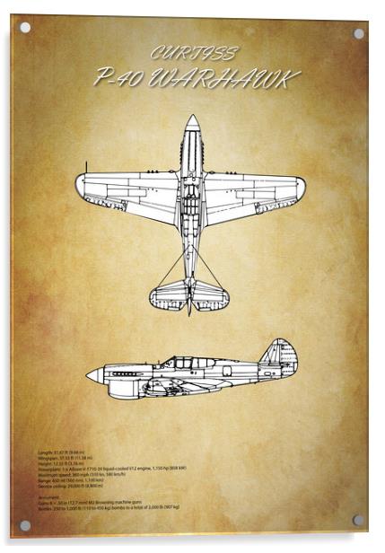 Curtiss P-40 Warhawk Acrylic by J Biggadike