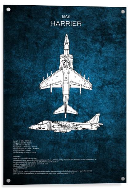 BAe Harrier Blueprint Acrylic by J Biggadike