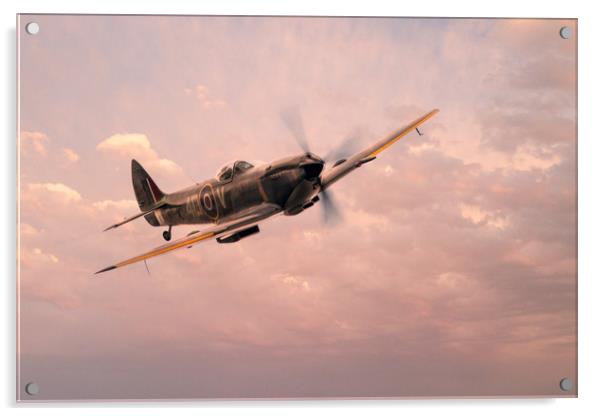 Spitfire TE311 (Mk LF XVIE) Acrylic by J Biggadike