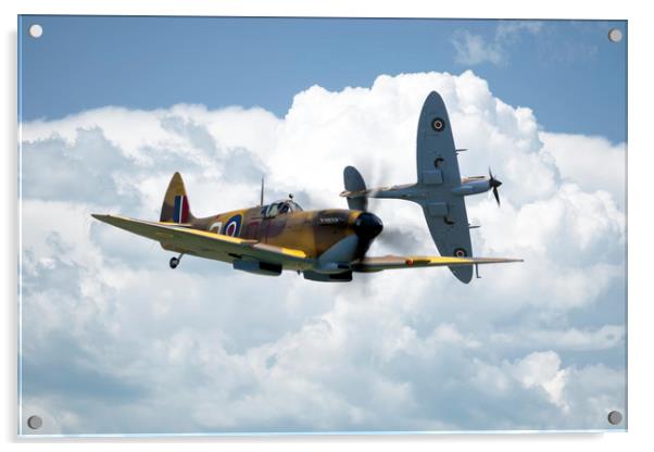 Spitfire - Desert Air Force Acrylic by J Biggadike