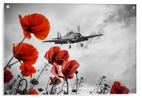 Hurricane Poppy Fly Past Red Acrylic by J Biggadike