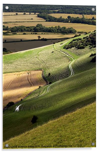Long Man Path Acrylic by Matthew Bates