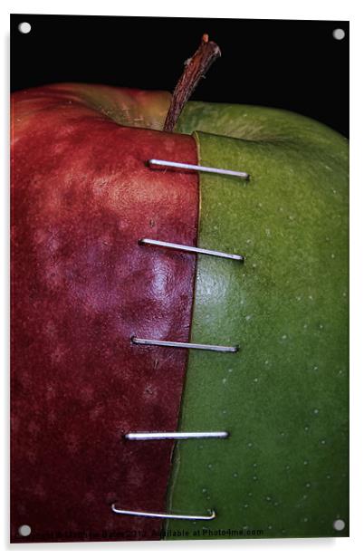 Red and Green Apple Acrylic by Matthew Bates