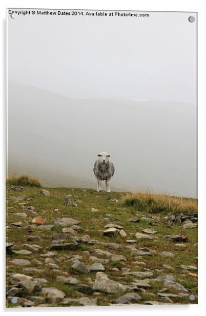 Demon sheep of Helvellyn Acrylic by Matthew Bates