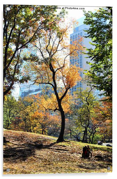 Central Park trees Acrylic by Matthew Bates