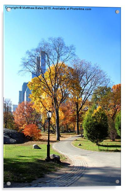 Autumn in Central Park Acrylic by Matthew Bates