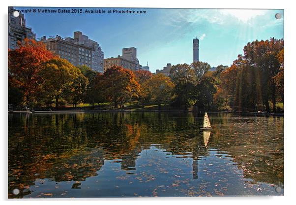Central Park pond Acrylic by Matthew Bates