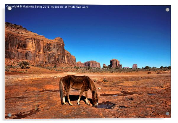 Monument Valley Horse Acrylic by Matthew Bates