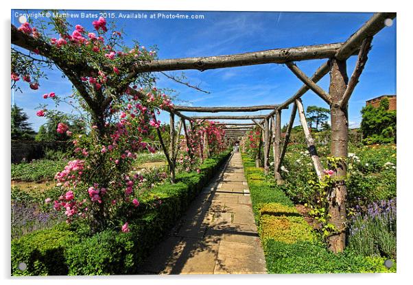 Polesden Lacey rose garden Acrylic by Matthew Bates