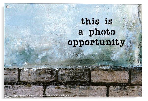 Photo Opportunity Acrylic by Matthew Bates