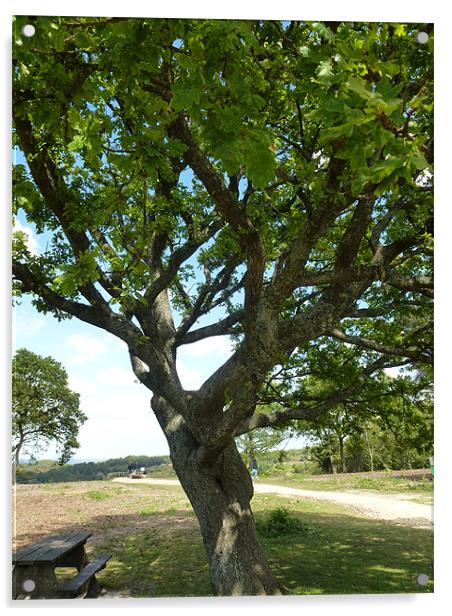 Twisted Oak Tree Acrylic by Lizzie Thomas