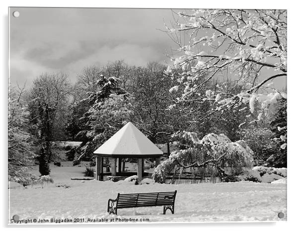 Winter Wonderland Acrylic by John Biggadike