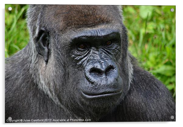 The Thinker Acrylic by Jules Camfield