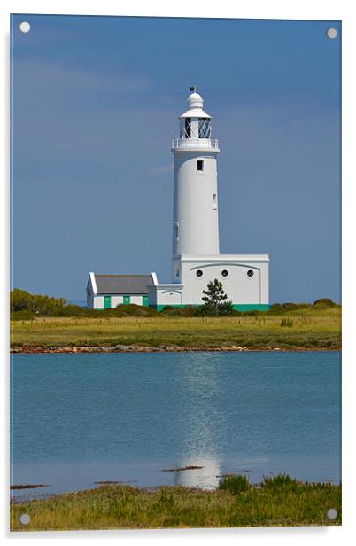 Hurst Point Lighthouse Acrylic by Jules Camfield