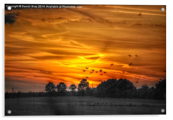  HDR Sunset Acrylic by Daniel Gray