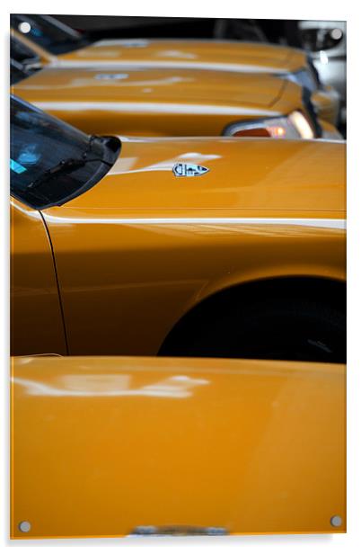 New York City: Yellow ants VI Acrylic by Tom Hall