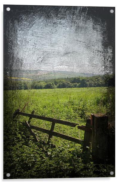 Broken Gate Yorkshire Acrylic by Dan Davidson