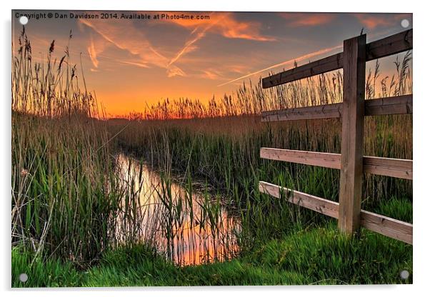 Norfolk sunset Acrylic by Dan Davidson