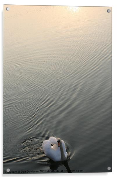 Swan Lake Acrylic by Dan Davidson